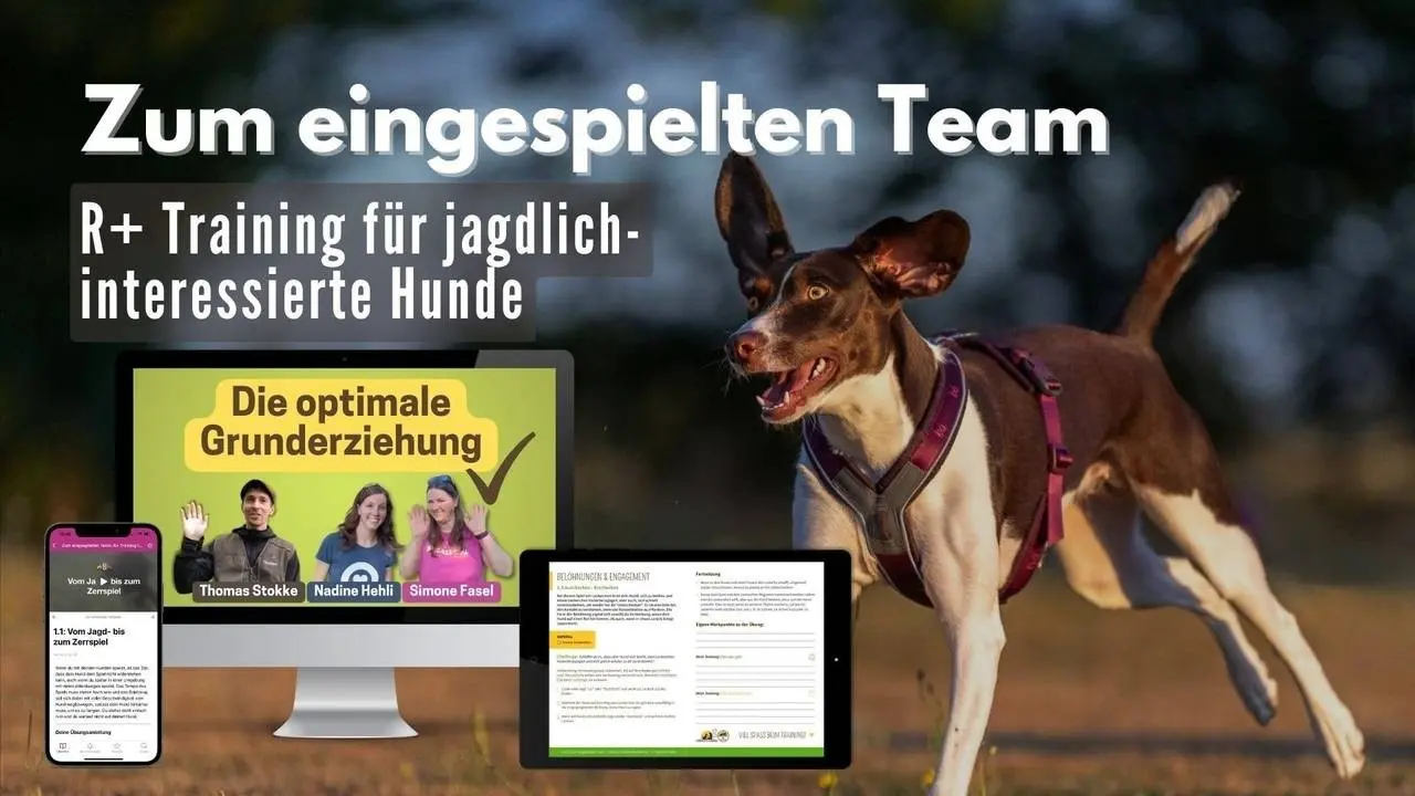 Zum_eingespielten_Team zum eingespielten Team