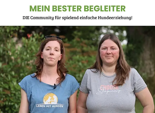 mein bester Begleiter mein bester Begleiter