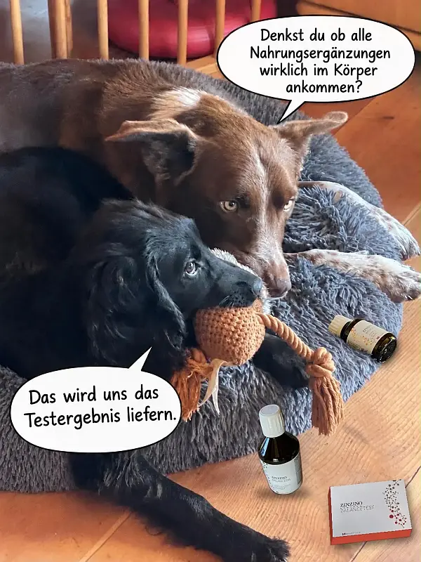 Zinzino Nahrungsergänzung für Mensch und Tier